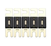 Offgridtec Lot de 5 fusibles ANL DIN43560/1 300 A 72 V