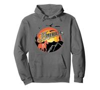 Officiel America The Band Hollywood Ball Frontier Sweat à Capuche