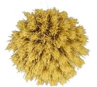 officina naturae Brosse à Vaisselle en Bois - 1 pièce