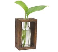 OFFIDIX Stations de propagation de plantes, terrarium de bureau en verre avec support en bois, pot de fleurs en verre avec 1 pot pour plantes hydroponiques, bureau, décoration de la maison