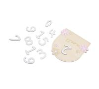 OFFIGAM 1Ensemble Cartes Mensuelles pour Panneaux de avec Décoration Photo Accessoire de Souvenir pour Fête Prénatale et