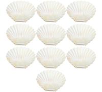 OFFIGAM Boîtes à Dragées de Coquillage Technologie de Placage sous Vide Résistantes Décoloration 10pcs en Plastique Blanc pour Mariage Thème Océan