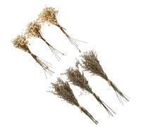 OFFIGAM Bouquet de Fleurs Séchées de Gypsophile en Herbe, 6 Pièces, Décoration Intérieure Solide Qui Ne Fane Pas, pour Fêtes d'anniversaire et Activités Extérieures Couleur Aléatoire