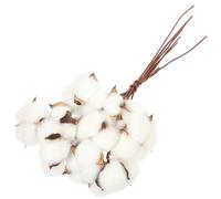 OFFIGAM Branches de Fleurs de Coton Blanc Séchées Décoratives en 1 Set pour Décoration Festive et Atmosphère Joyeuse, pour DIY et Fêtes