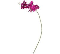 OFFIGAM Pourpre Orchidée Réaliste Fleur, Artificielle Décorative 80cm en