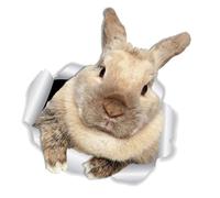 OFFIGAM Sticker Mural Lapin Étanche Autocollant Décoratif Chambre Salon Salon Décoration Intérieure Artistique et Facile à Coller