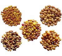 Offre Trèfle n° : 5 Variétés de Trèfles - 5 Sachets de 3 grammes - (Engrais vert)