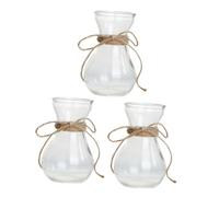 OFFSCH 3 Pièces Vase Verre Décoratif pour Bureau Composition De Fleurs Et Plantes Hydroponiques Lot de Vases Transparents