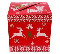 OFFSCH Boîte Vote Party Carton Noël Robuste Et Festive Urne Donation Multiusage Pour Tombola Et Tickets Conteneur Pratique Moyen Pour Fêtes De Noël