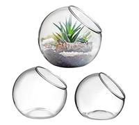 OFFSCH Lot de 3 grands pots de terrarium pour travaux manuels, terrarium à fond plat, vase transparent hydroponique pour bureau, petit vase à bulles, plante en verre de terre