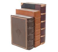 OFFSCH Set de 3 Faux Livres Décoratifs en Résine Style Vintage Européen, Structure Stable pour Optimisation D'espace, pour Présentation Commerciale ou Vitrines