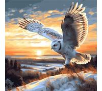 OfFsum Kit de peinture diamant 5D pour adultes - Hibou blanc volant et coucher de soleil - 7 - Peinture à strass avec diamants - Arts et travaux manuels pour décoration murale de la maison