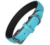 OFHome Collier pour chien en cuir doux, rembourré, confortable, réglable et solide, idéal pour chiens de petite, moyenne et grande taille avec boucle robuste (bleu, L)