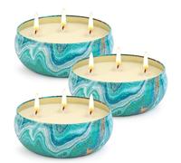 OFUN Lot de 3 grandes bougies à la citronnelle de 300 ml avec 3 mèches, en cire de soja naturelle et citronnelle pour jardin, camping, intérieur, barbecue, pique-nique, chambre à coucher, cadeau d'été