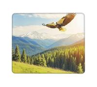 OFYGJFB Tapis de souris carré avec bords cousus - Petit tapis de souris 25,4 x 30,5 cm pour souris sans fil, un aigle volant, pour ordinateur portable, jeux, bureau et décoration d'intérieur