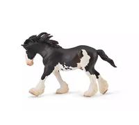 Ogier Clydesdale maści Black Sambino Collecta