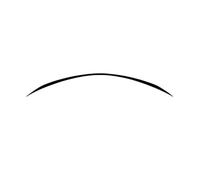 OGJFD Aileron Voiture pour Mercedes Classe C W205 2015-2021 C180 C200 C260 C43 C63 pour Ailes arrière pour AMG aileron de Vent Fixe Aile arrière Becquets Voiture