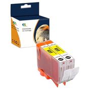 OGOUGUAN Cartouche d'encre Compatible CLI65 CLI-65 Pigment Remplacement pour Canon PIXMA PRO-200 (2 Jaune)