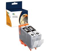 OGOUGUAN Cartouche d'encre Compatible CLI65 CLI-65 Pigment Remplacement pour Canon PIXMA PRO-200 (2 Noir)