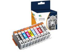 OGOUGUAN Cartouche d'encre Compatible PFI-300 PFI 300 PFI300 Remplacement pour Canon imagePROGRAF PRO-300 (10Pack)