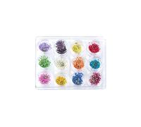 Ogquaton 12 couleurs ongles fleurs séchées Nail Art décoration conseils de bricolage avec cas autocollant naturel petites fleurs ongles strass manucure décoration élégant et populaire