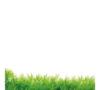 Ogquaton Vert Herbe Stickers Muraux Art Autocollant Decal Mural Stickers Muraux Verre Fenêtre Coffee Shop Maison Cuisine Artwork Décor 50 * 70 cm Haute Qualité