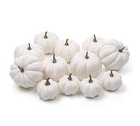 Ogrmar Lot de 12 Mini citrouilles artificielles Assorties pour Halloween, récolte, décoration de fête de Thanksgiving (Blanc)