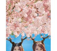 Ohanami Venus [Import]