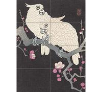 Ohara Koson Two Cockatoo And Plum Blossom Painting XL Giant Panel Poster (8 Sections) Fleur La peinture Affiche