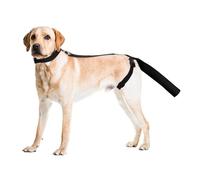 OHCOZZY Protecteur de queue de chien pour plaies, manchon de protection réglable pour chiens de taille moyenne et grande, anti-léchage (taille M, noir)