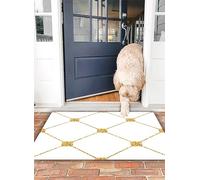 OHJEAJDS Tapis 40x60 cm,Super Absorbant Sèche Rapide,Tapis de Bain pour Portes de Salle de Bain,Salon,Modèle pailleté doré et Blanc. Ornement doré.,Lavable Tapis de Bain