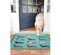 OHJEAJDS Tapis 40x60 cm,Super Absorbant Sèche Rapide,Tapis de Bain pour Portes de Salle de Bain,Salon,Ensemble Teckel,Lavable Tapis de Bain