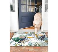 OHJEAJDS Tapis 40x60 cm,Super Absorbant Sèche Rapide,Tapis de Bain pour Portes de Salle de Bain,Salon, Modèle d'illustration de Plantes de la Jungle Exotique avec Oiseau Toucan.,Lavable Tapis de Bain
