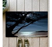 OHJEAJDS Tapis 60x100cm,Super Absorbant Sèche Rapide,Tapis de Bain pour Portes de Salle de Bain,Salon,Belle Image d'un Lever de Lune à Carmel en Californie,