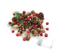 OhMill 2 m Guirlande de Lumières avec Baie Rouge Pommes de Pin Cloche Aiguille de Pin 20 Mini LED Lumières à Cordes à Piles Guirlandes Lumineuses pour Décoration de Noël