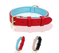 Ohmywor Collier pour chien en cuir Rouge S