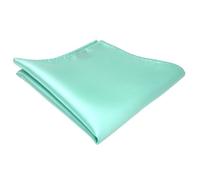 ohne Markenname TigerTie pochette helles mint vert unicolor - tissu 100% Polyester