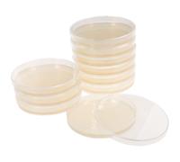 OHPHCALL 10 Pièces Plaques D'agar Prêtes à L'emploi 9 Cm pour Projets D'expo-sciences, Portable et Facile à Transporter, Favorisant une Croissance Rapide en Laboratoire Médical
