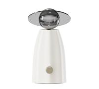 Ohulelks Humidificateur à LED Artistique Silencieux avec Diffuseur D' et Veilleuse, Atomiseur d'air.