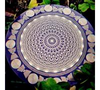 oiakus Disque EMFS Tesla À Polarisation, Oscillateur Multi-Ondes À Bobine Tesla, Dynamisation De l'eau Et Équilibrage Harmonique, Diamètre 12,8 Cm, pour La Méditation Yoga, La Décoration Intérieure