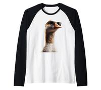 Oie Douce Oisillons Oie Poussins Canard Petites Oies Manche Raglan
