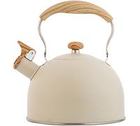 OIFAODAO, Théière avec infuseur, Nouvelle théière sifflante de qualité Alimentaire for Faire bouillir Le thé, Compatible avec Les cuisinières à gaz, Les cuisinières à Induction ,Théière
