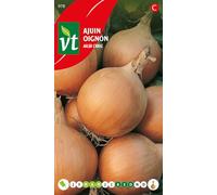 Oignon Ailsa Craig Graines - Gros oignon jaune à la saveur douce