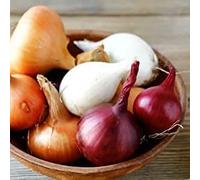 Oignon (En Mélange) - 4-5 variétés mélangées dans un paquet