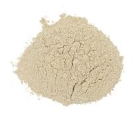 Oignon en poudre - Sachet de 250 g