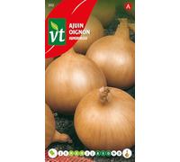 Oignon Rijnsburger Graines - Variété productive aux bulbes ronds jaunes d'excellente conservation