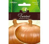 oignons, Stuttgarter géants