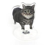 Oiiai Décoration en acrylique en forme de chat rotatif sur bureau pour soulager le stress, décoration pour art musical électronique, Oiiaioooooiai (transparent)