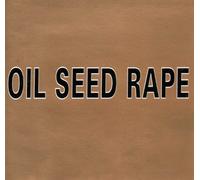 Oil Seed Rape - Six Steps to. [Import]