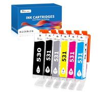 OINKWERE 530 531 Lot de 6 cartouches d'encre compatibles avec Canon PGI-530 CLI-531 pour Canon TS8750 TS8751 (530 531 noir, PGBK, cyan, jaune, magenta, gris)